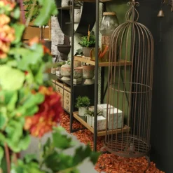 Chemin De Campagne Cages, Volières Et Accessoires | - Set3 grandes cages à oiseaux décoratives sur pieds fer marron 165cm