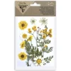 Clairefontaine Décoration Créative | - Pochette de 12 fleurs pressées séchées, assortiment jaune, 13x20,5cm