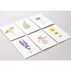 Clairefontaine Décoration Créative | - Pochette de 12 fleurs pressées séchées, assortiment jaune, 13x20,5cm