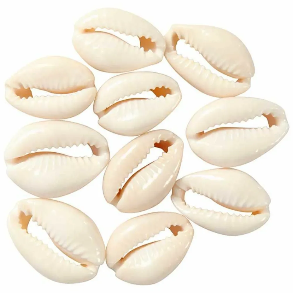 Creotime - 12 perles coquillage 20 mm - naturel