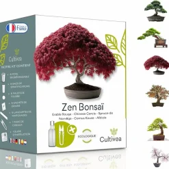 Cultivea Terrariums Et Compositions | - Kit prêt à Pousser 6 Bonsaïs avec accessoires - Red Mapple, Chinese Cercis, Albizia, Cornus Kousa, Norway Spruce, Juniperus
