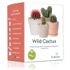 Cultivea - Kit Prêt à Pousser Cactus - Pitaya “Fruit du Dragon “, Ferocactus, Pilosocereus et Cactus mix - Idée Cadeau Hot