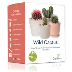 Cultivea - Kit Prêt à Pousser Cactus - Pitaya “Fruit du Dragon “, Ferocactus, Pilosocereus et Cactus mix - Idée Cadeau Hot