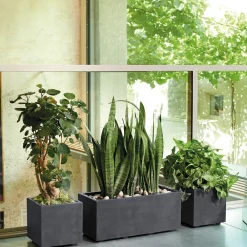 Deroma - Bac cubo Millennium, à réserve d'eau, coloris anthracite - L.25cm Sale