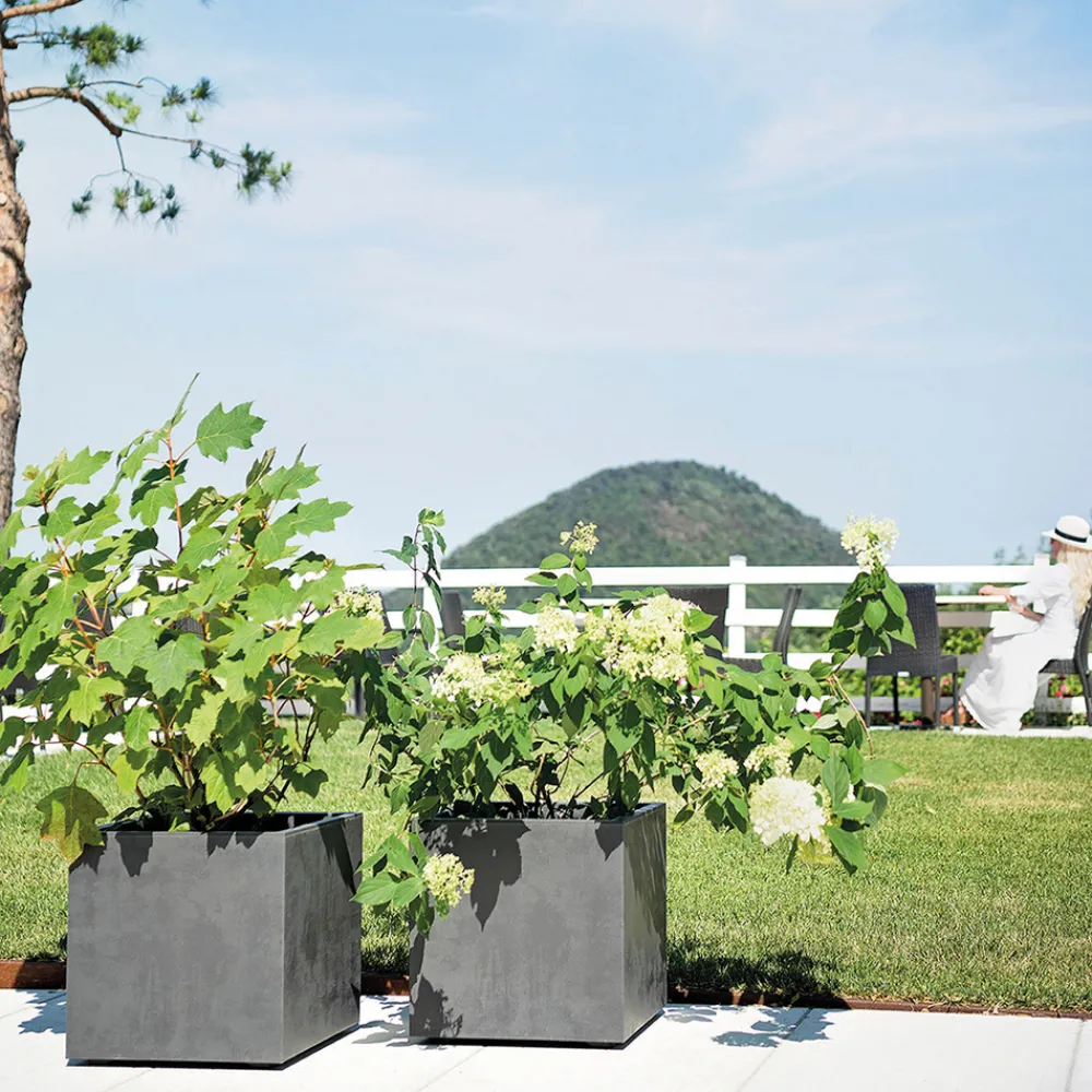 Deroma Pots Et Jardinières | - Bac cubo Millennium, à réserve d'eau, coloris anthracite - L.39cm