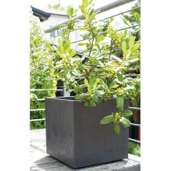 Deroma Pots Et Jardinières | - Bac cubo Millennium, à réserve d'eau, coloris anthracite - L.39cm