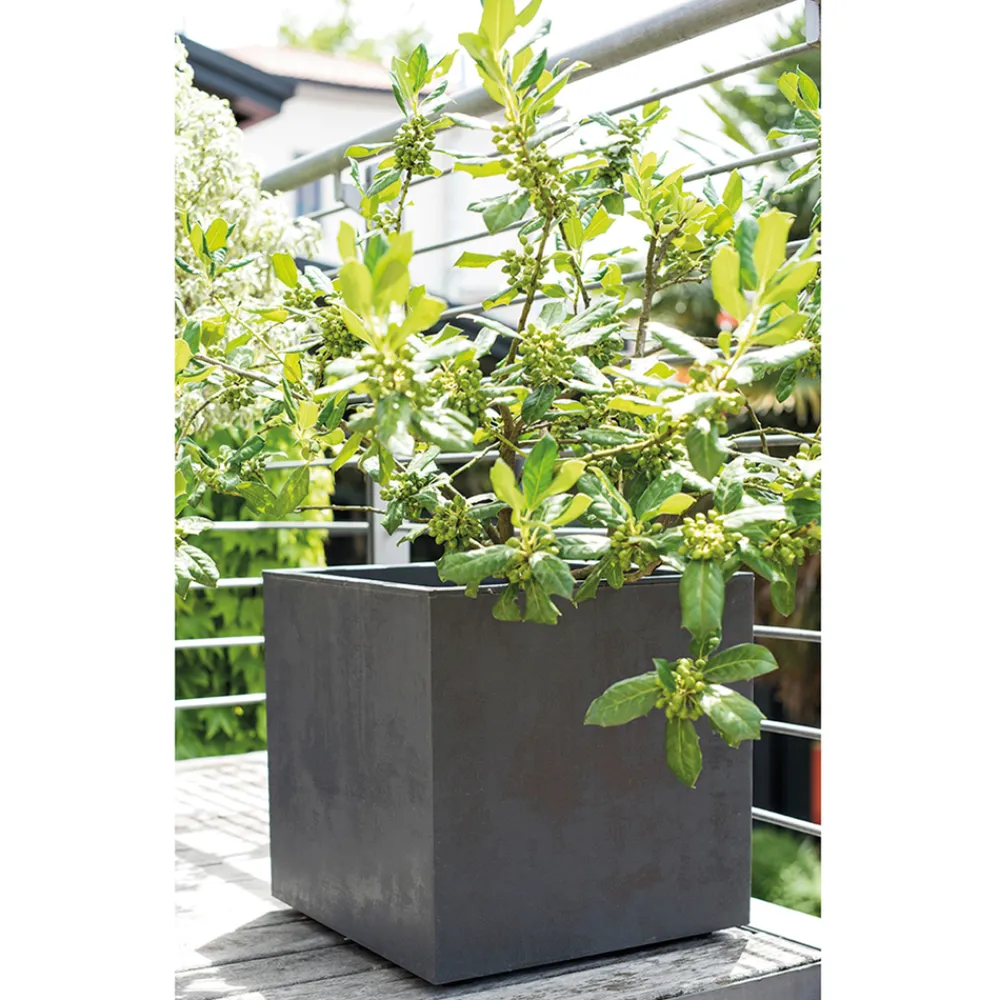 Deroma Pots Et Jardinières | - Bac cubo Millennium, à réserve d'eau, coloris anthracite - L.39cm