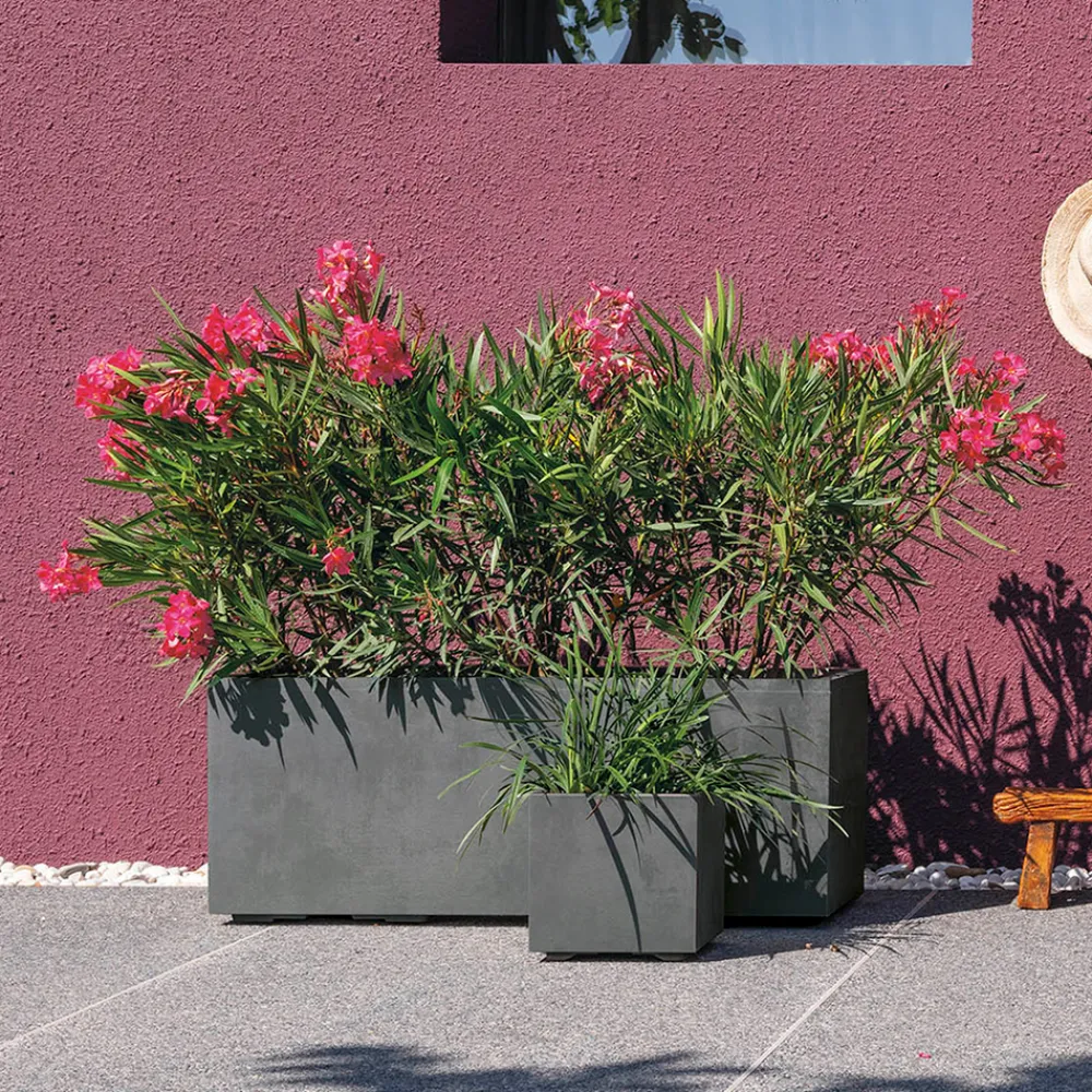 Deroma Pots Et Jardinières | - Bac cubo Millennium, à réserve d'eau, coloris ashgrey - L.25cm