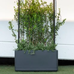 Deroma Pots Et Jardinières | - Bac muret Cosmo, à réserve d'eau, coloris anthracite - L.78cm
