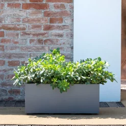 Deroma - Bac muret Millennium, à réserve d'eau, coloris ashgrey - L.59cm Outlet
