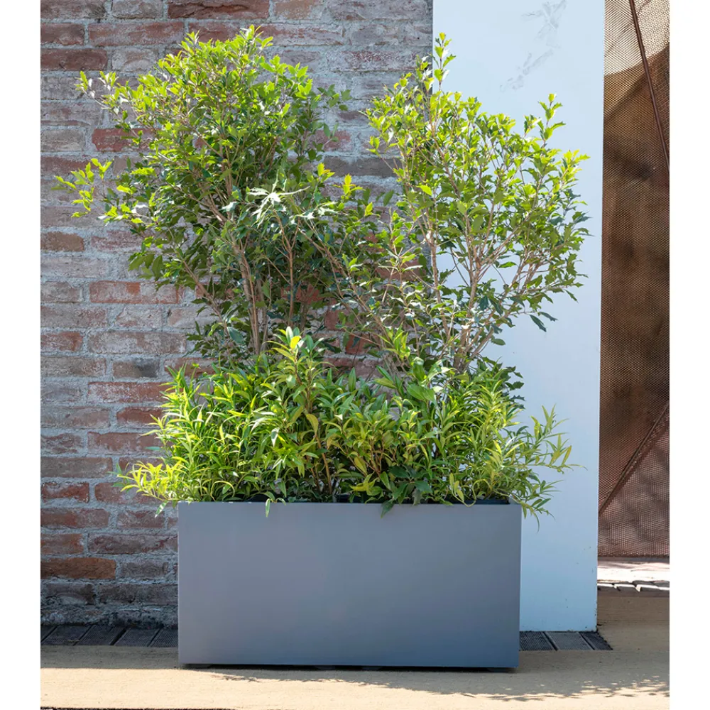 Deroma Pots Et Jardinières | - Bac muret Millennium, à réserve d'eau, coloris ashgrey - L.79cm