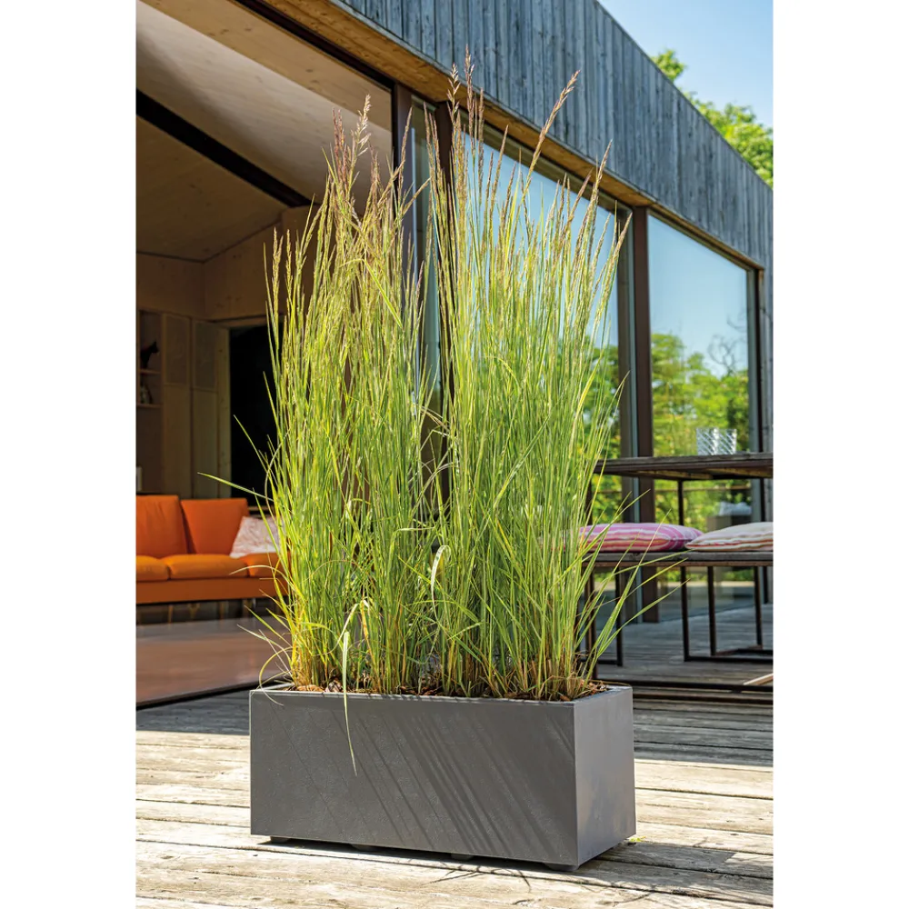 Deroma Pots Et Jardinières | - Bac muret Millennium, à réserve d'eau, coloris anthracite - L.59cm