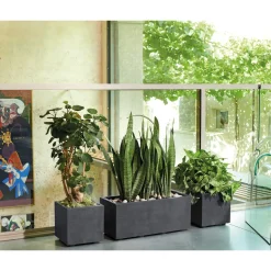 Deroma Pots Et Jardinières | - Bac muret Millennium, à réserve d'eau, coloris anthracite - L.59cm