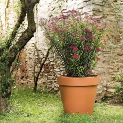 Deroma - Pot Horticole en terre cuite Ø 35,7 x H. 30,1cm New