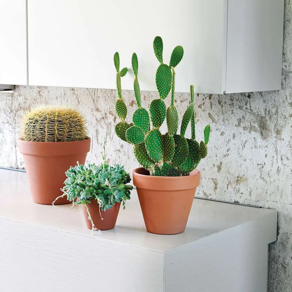 Deroma Cache-Pots Et Bacs D'Intérieur|Pots Et Jardinières | - Pot Horticole en terre cuite Ø 25,1 x H. 21,7cm