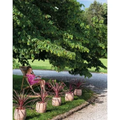 Deroma Cache-Pots Et Bacs D'Intérieur|Pots Et Jardinières | - Pot Vaso Com'O pour plantes et fleurs en terre cuite rosée - D.26cm