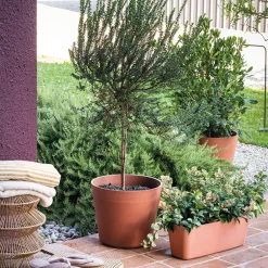 Deroma - Pot Vaso Origin Cotto, coloris marron - D.48cm Hot