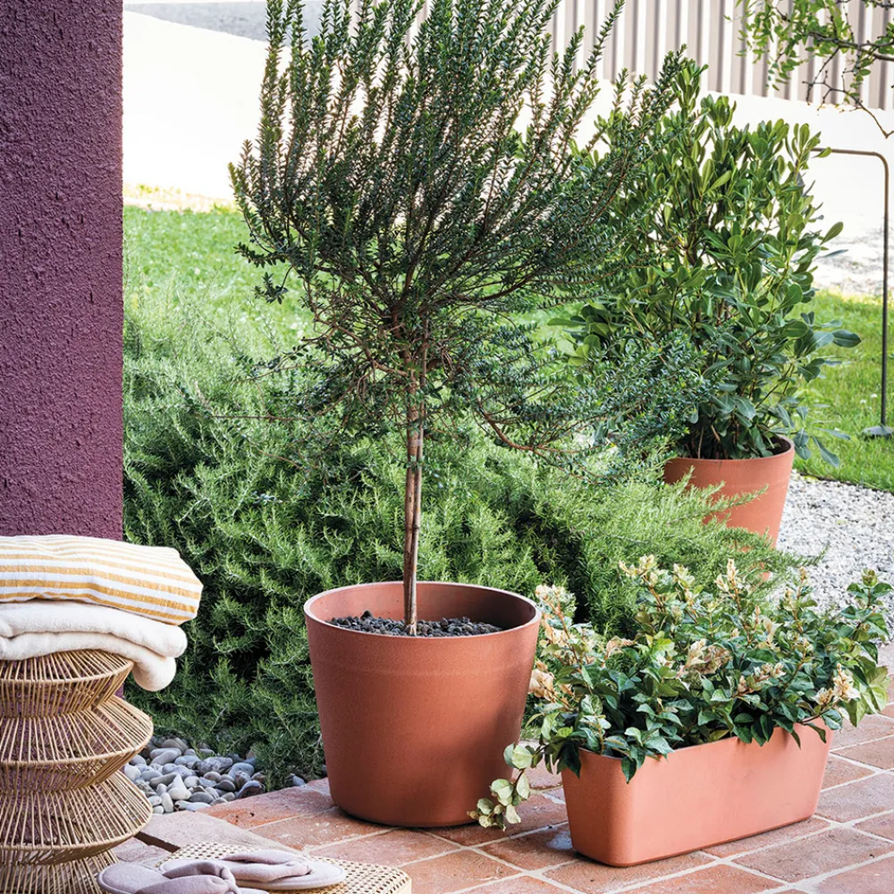 Deroma Pots Et Jardinières | - Pot Vaso Origin Cotto, coloris marron - D.29cm