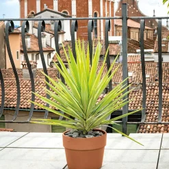 Deroma Cache-Pots Et Bacs D'Intérieur|Pots Et Jardinières | - Pot Vaso Perfetto Cotto en terre cuite D.29 x H.23,6cm