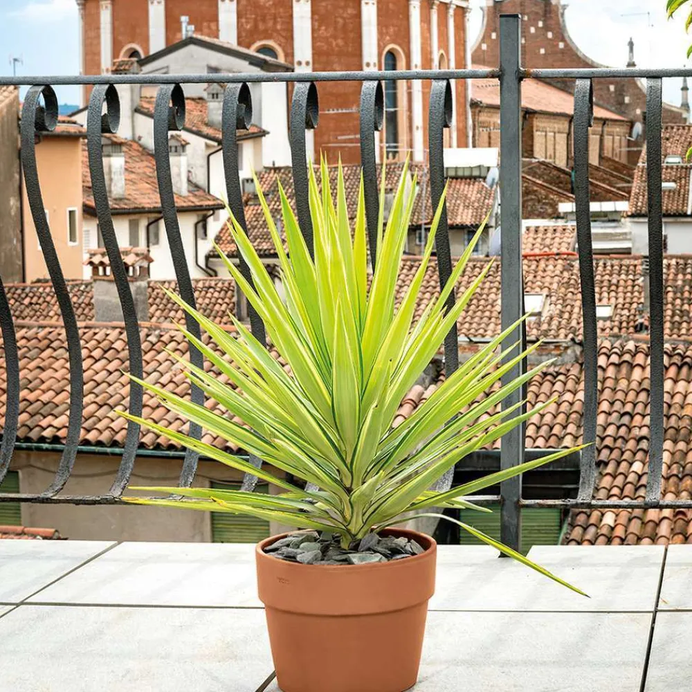 Deroma Cache-Pots Et Bacs D'Intérieur|Pots Et Jardinières | - Pot Vaso Perfetto Cotto en terre cuite D.29 x H.23,6cm
