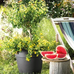 Deroma - Pot Vaso Save R à réserve d'eau en plastique Anthracite Ø29cm Hot