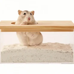 Downypaws - Bain salle - transparente, grande entrée, sable pour toilette New