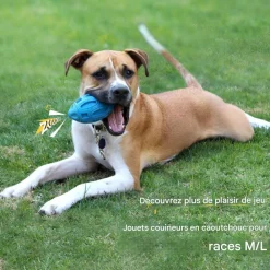 Downypaws - Balle jouet pour chien-jouet pour chien balle en caoutchouc-jouets interactifs-football bleu New
