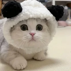 Downypaws - Bonnet d'hiver en peluche panda pour chiens et chats Outlet