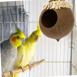 Downypaws - Boîte d'oiseau en coque de noix de coco pour la reproduction et la décoration type de cordon Hot