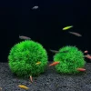 Downypaws - 2 boules d'herbe artificielles en plastique pour aquarium, ornements d'aménagement paysager Sale