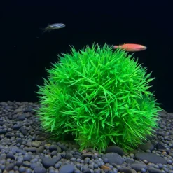 Downypaws - 2 boules d'herbe artificielles en plastique pour aquarium, ornements d'aménagement paysager Sale