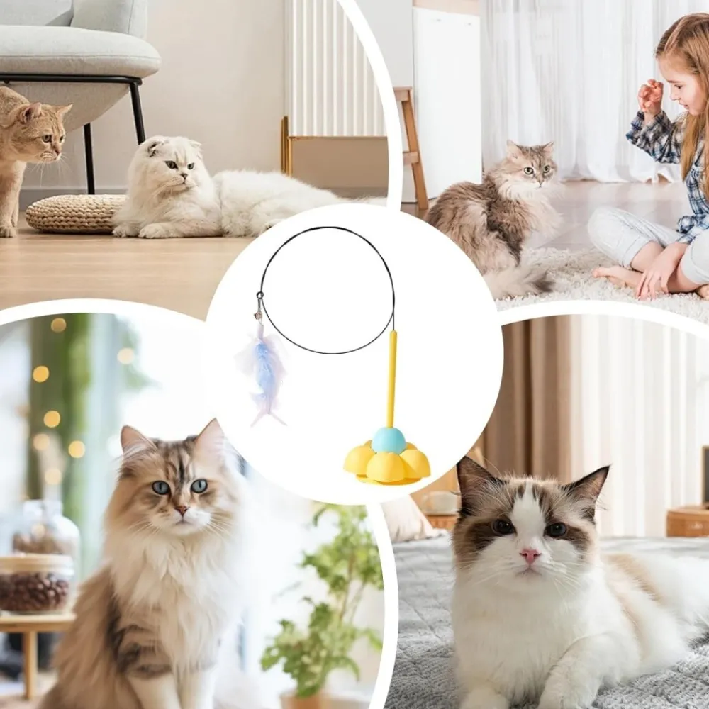 Downypaws - Bâton de chat drôle Outlet