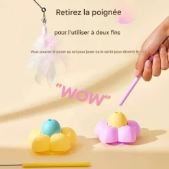 Downypaws - Bâton de chat drôle Outlet