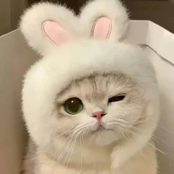 Downypaws - Chapeau de chat avec oreilles de lapin de pâques Hot