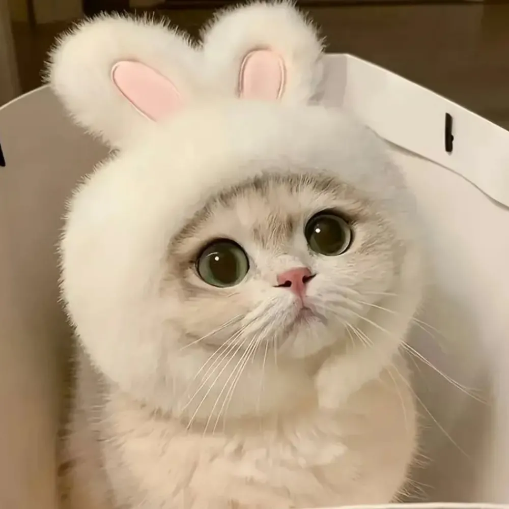 Downypaws - Chapeau de chat avec oreilles de lapin de pâques Hot