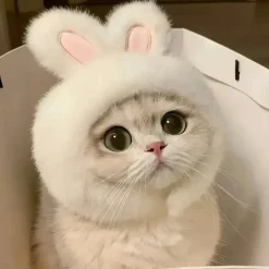 Downypaws - Chapeau de chat avec oreilles de lapin de pâques Hot