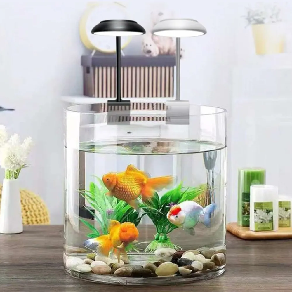 Downypaws - Éclairage led aquarium - orientation 360° sans scintillement Best