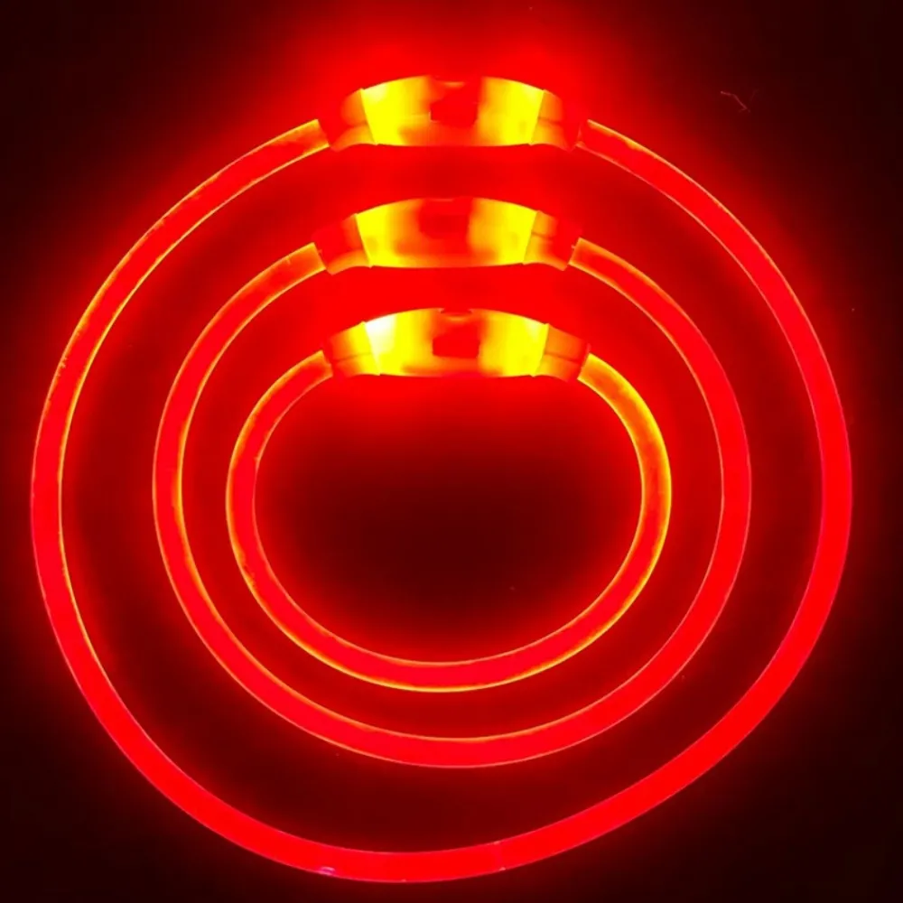 Downypaws - Collier lumineux rechargeable pour chien taille m rouge : 50 cm de circonférence New