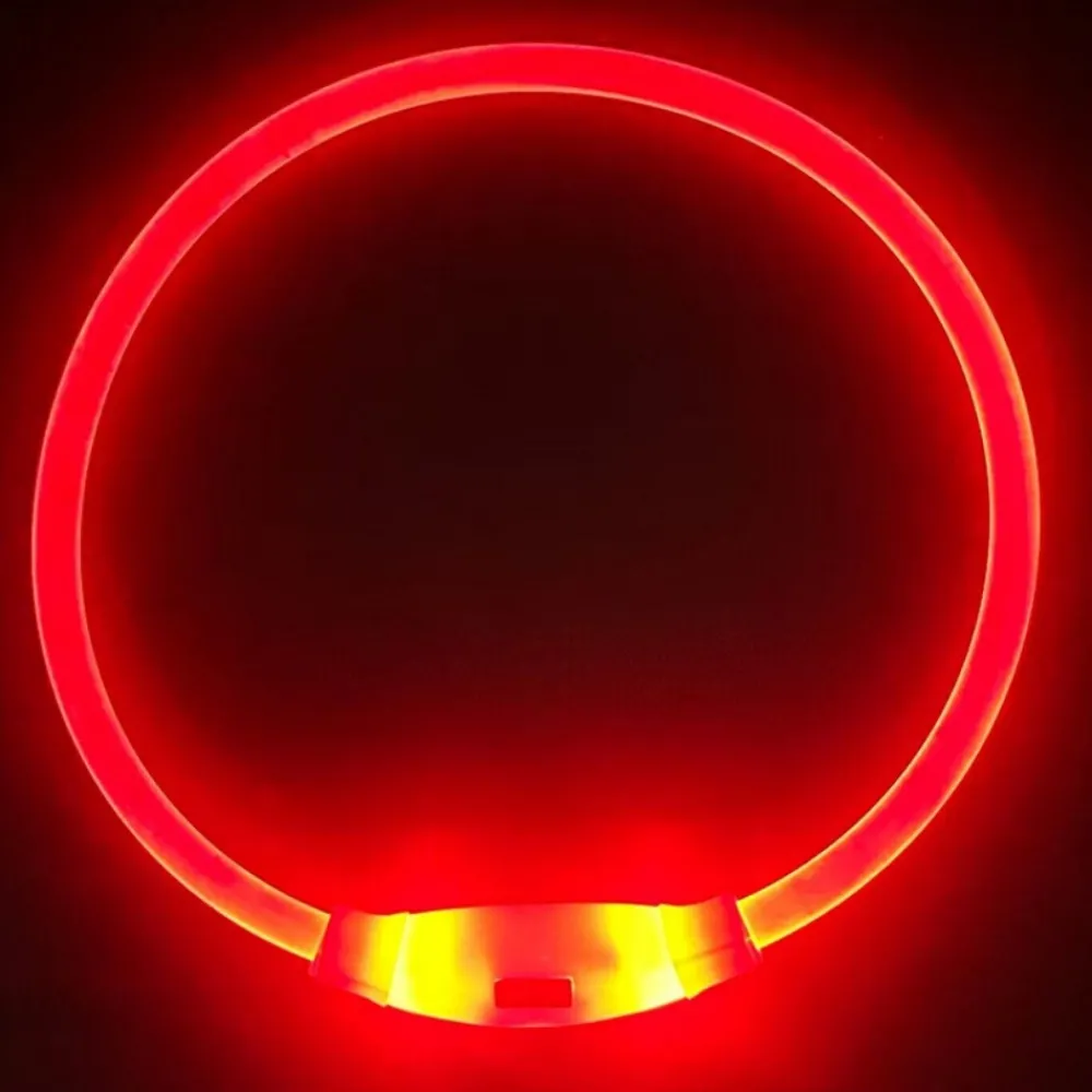Downypaws - Collier lumineux rechargeable pour chien taille m rouge : 50 cm de circonférence New