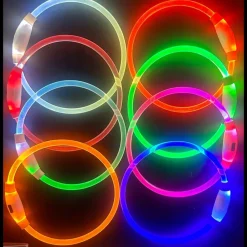 Downypaws - Collier lumineux rechargeable pour chien taille m rouge : 50 cm de circonférence New