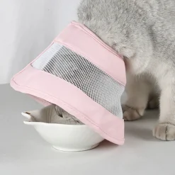 Downypaws - Collier pour chat sakura rose Discount