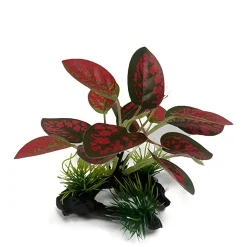 Downypaws - Décoration D'aquarium : Plantes Aquatiques Artificielles Plantes En Bois - 3 Articles Seront Envoyés Au Hasard Après L'achat New