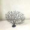 Downypaws - Décoration en corail et micro-plantes pour aquarium noir Online