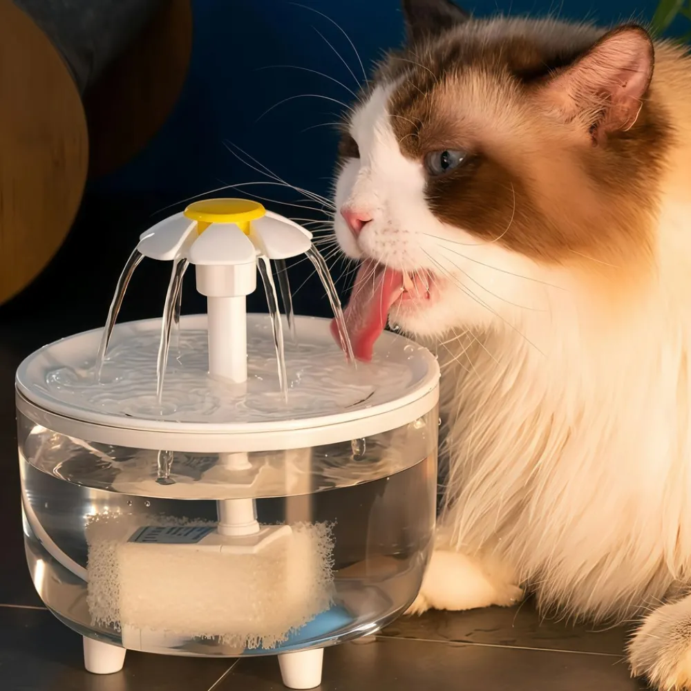 Downypaws - Distributeur d'eau en circulation pour chats: filtre automatique flux d'eau en direct - fournitures pour animaux de compagnie Clearance