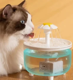 Downypaws - Distributeur d'eau en circulation pour chats: filtre automatique flux d'eau en direct - fournitures pour animaux de compagnie Clearance