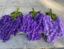 Downypaws - Fleurs de glycine artificielles, 12 tiges, violet foncé Best