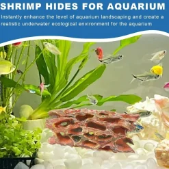Downypaws - Grotte en mousse aquatique - habitat biofilm pour crevettes Discount