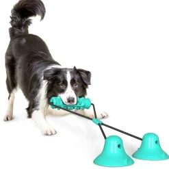 Downypaws - Jouet interactif à mâcher pour chien: balle de broyage des dents avec ventouse, nettoyage des dents Best
