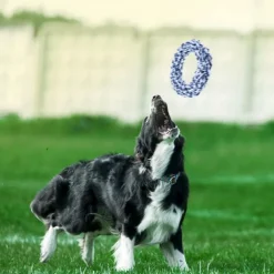 Downypaws - Jouets à mâcher pour chiens-jouet dentaire avec corde pour chien Clearance