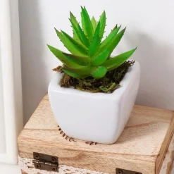 Downypaws Plantes Artificielles | - Mousse sèche, qualité supérieure, pour décoration, matériau pour couronnes et miniatures 50g